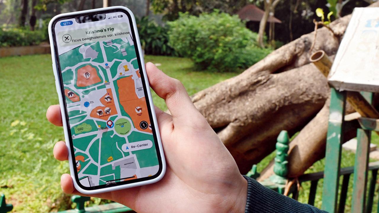 The map interface of the app