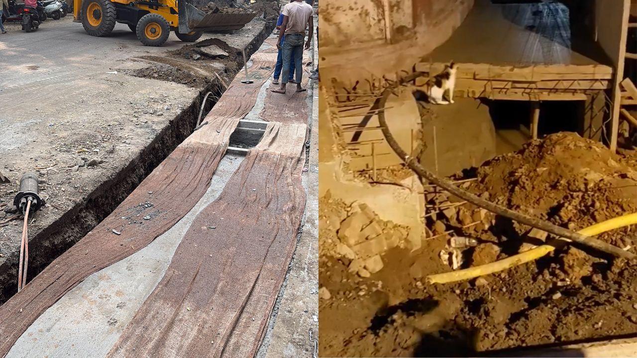 PHOTOS: Mumbaikars react to Mid-Day's report on road digging in Borivli
