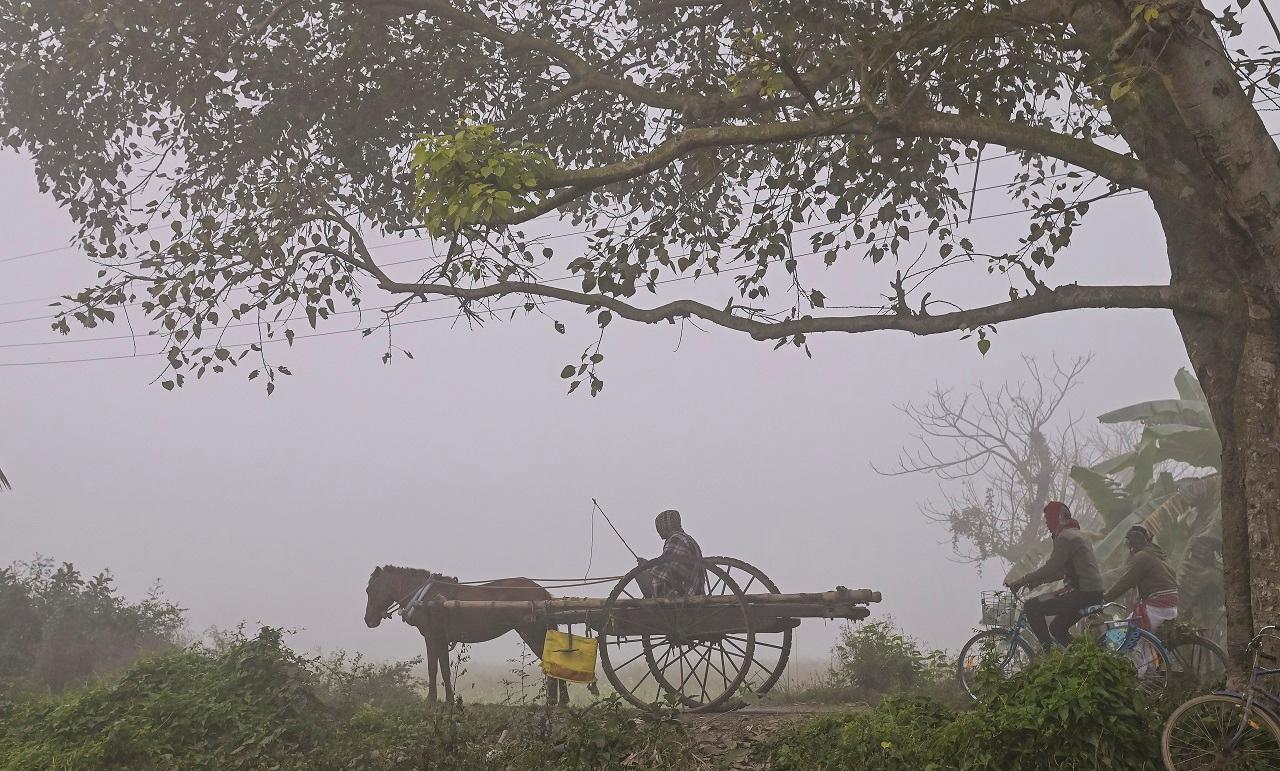 Out of the 31 monitoring stations, data provided by the Sameer app showed that five stations recorded air quality in the 'severe' category on Tuesday, with the AQI crossing the 400 mark. These stations include Jahangirpuri, Nehru Nagar, Patparganj, Vivek Vihar, and Wazirpur