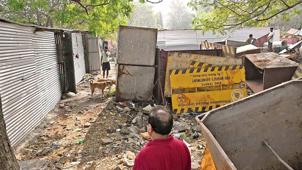 Public gardens cannot become havens for criminals