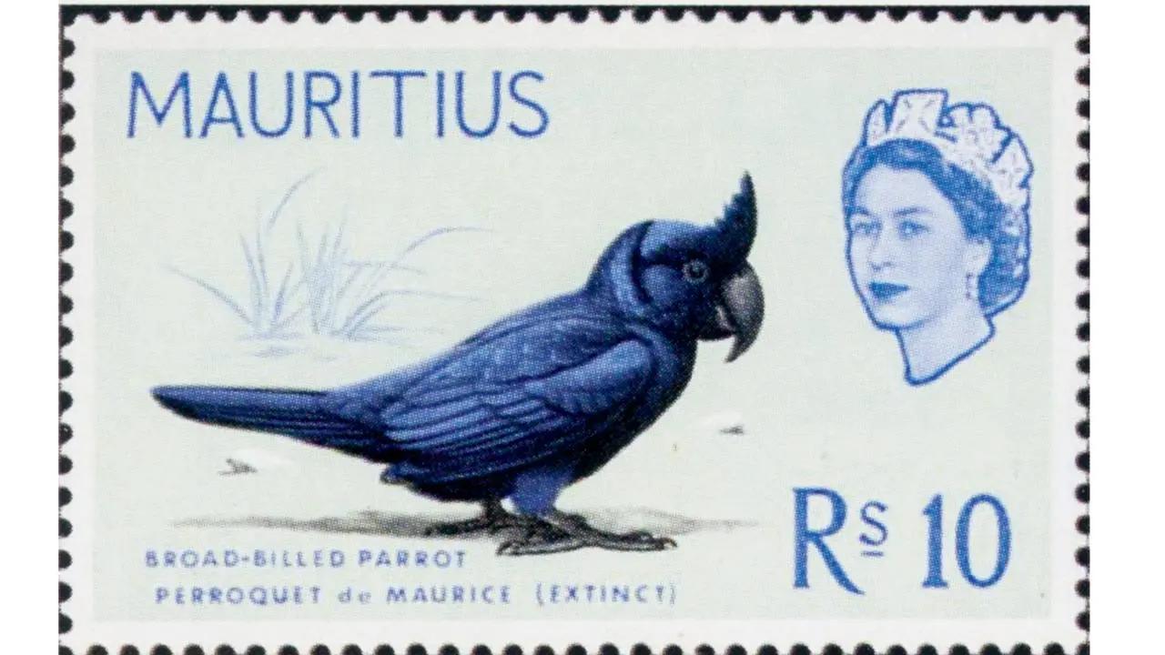 Published 1965Raven Parrot (Lophopsittacus mauritianus) is believed to have become extinct in the 1680s. Their poor flying skills made them vulnerable to rats, macaques and poachers.