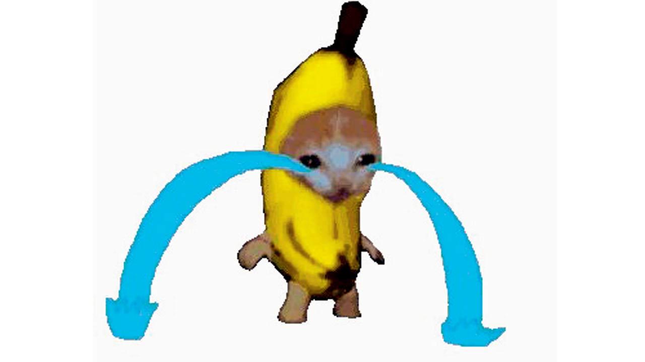 The infamous crying banana cat was one of the first of its kind to catch the attention of social media and brands alike 