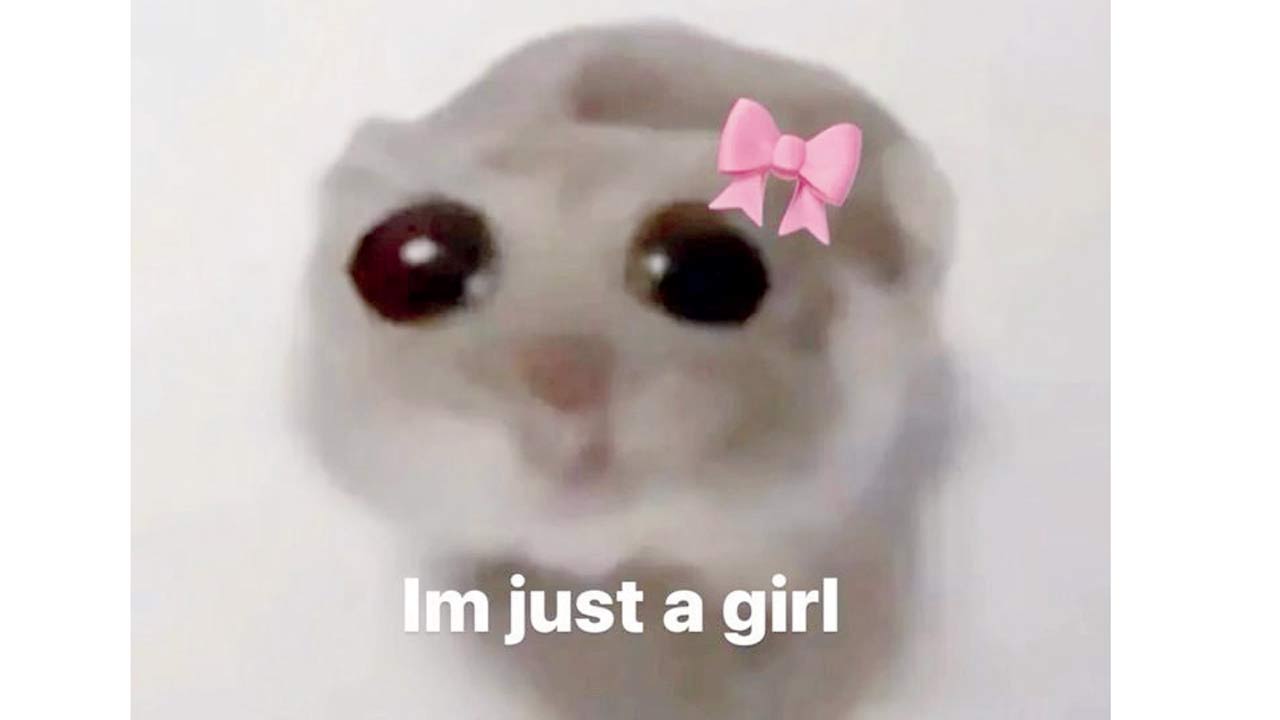 The “I’m just a girl” meme 