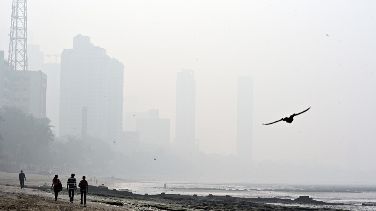 Despite the deteriorating air quality, Mumbaikars visited Dadar beach to enjoy the winter 