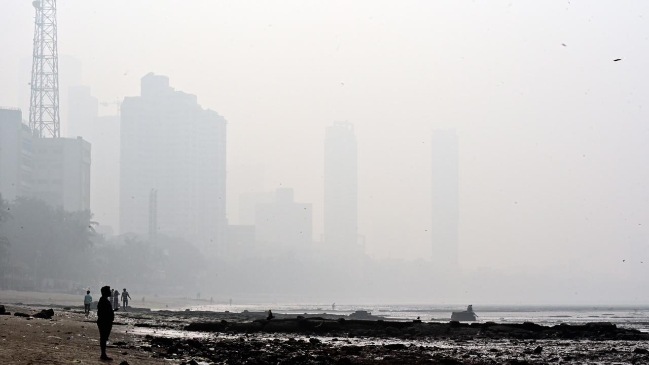 The Mumbai civic body deployed 365 cleanup marshals for Thursday. They collected Rs 97,100 as fines from those violating the rules