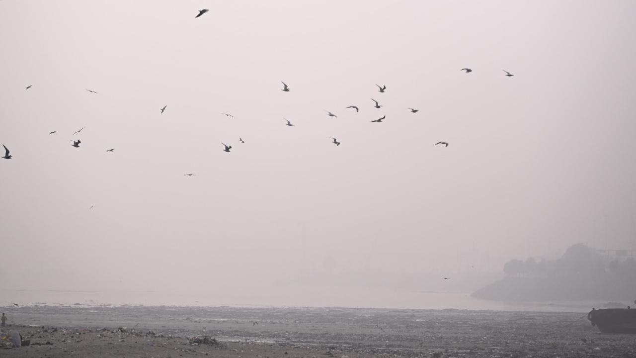The air quality index from 0 to 100 is considered 'good', 100 to 200 'moderate', 200 to 300 'poor', 300 to 400 'very poor' and from 400 to 500 or above 'severe'