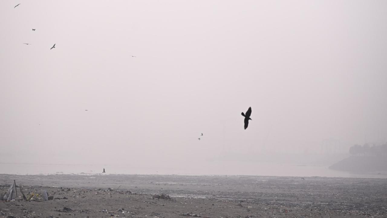 The hazy skies seen from the Bandra-Worli Sea Link