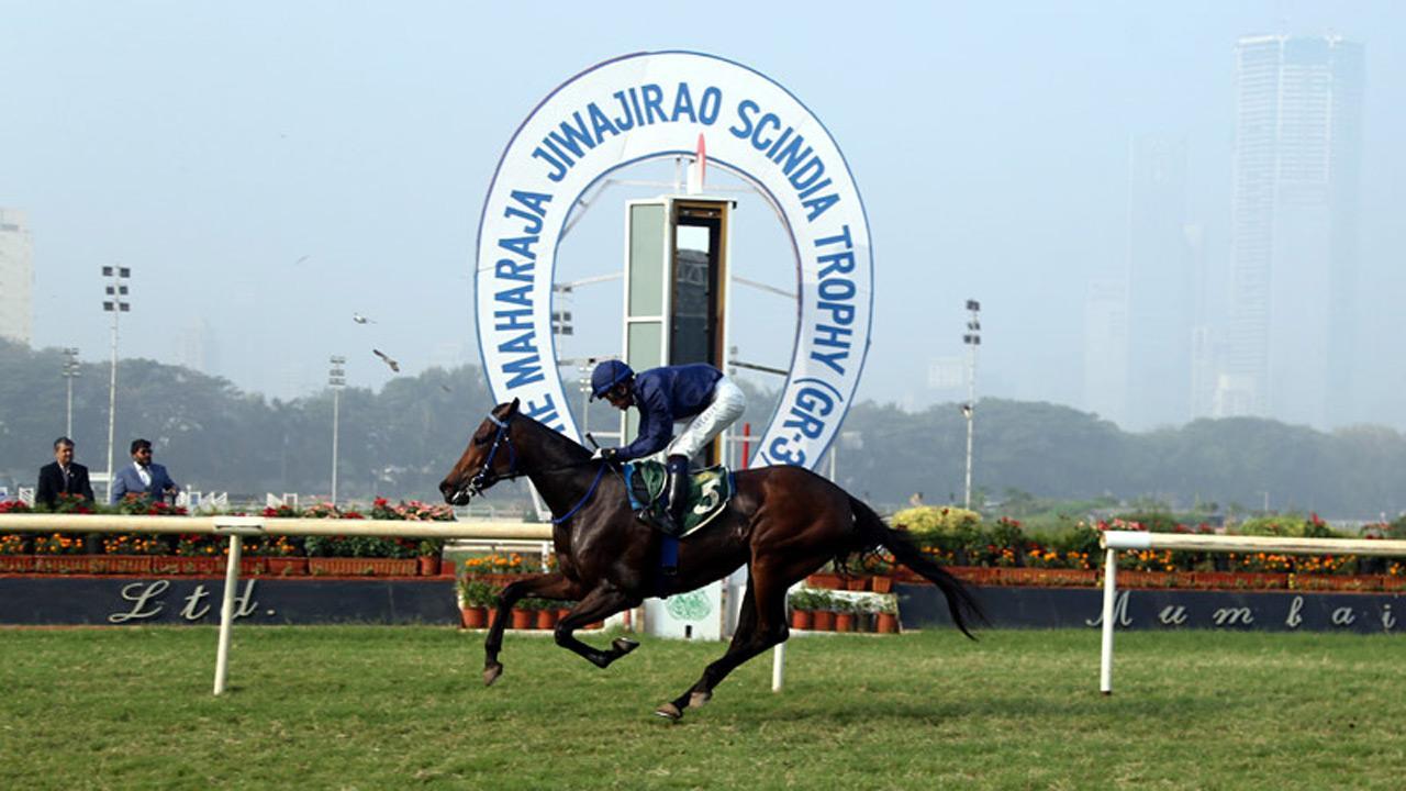 Geographique stuns rivals--bags feature event; trainer Sait records a treble