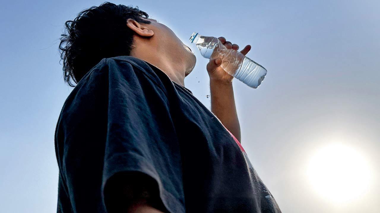 Mumbai weather updates: Brace for higher temperature and sweltering days in 2025