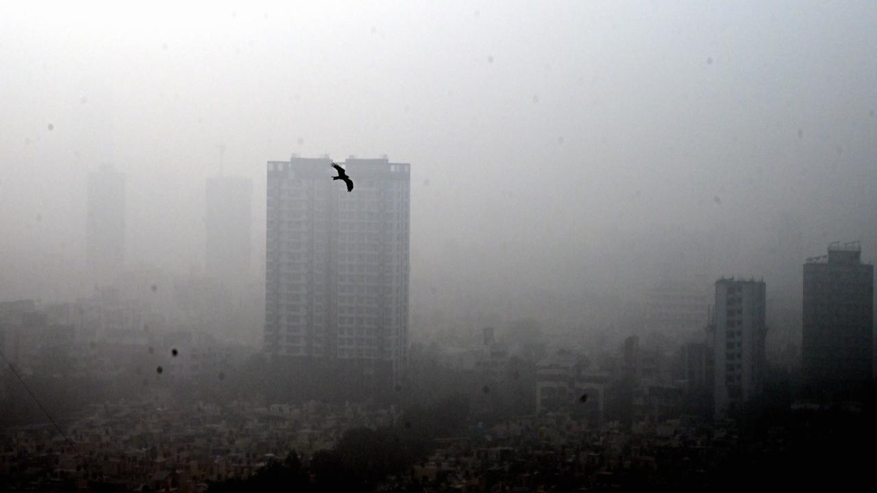BMC said sensor-based air pollution monitoring systems will be installed at all construction project work sites and immediate action to be taken if pollution levels are detected above the limit