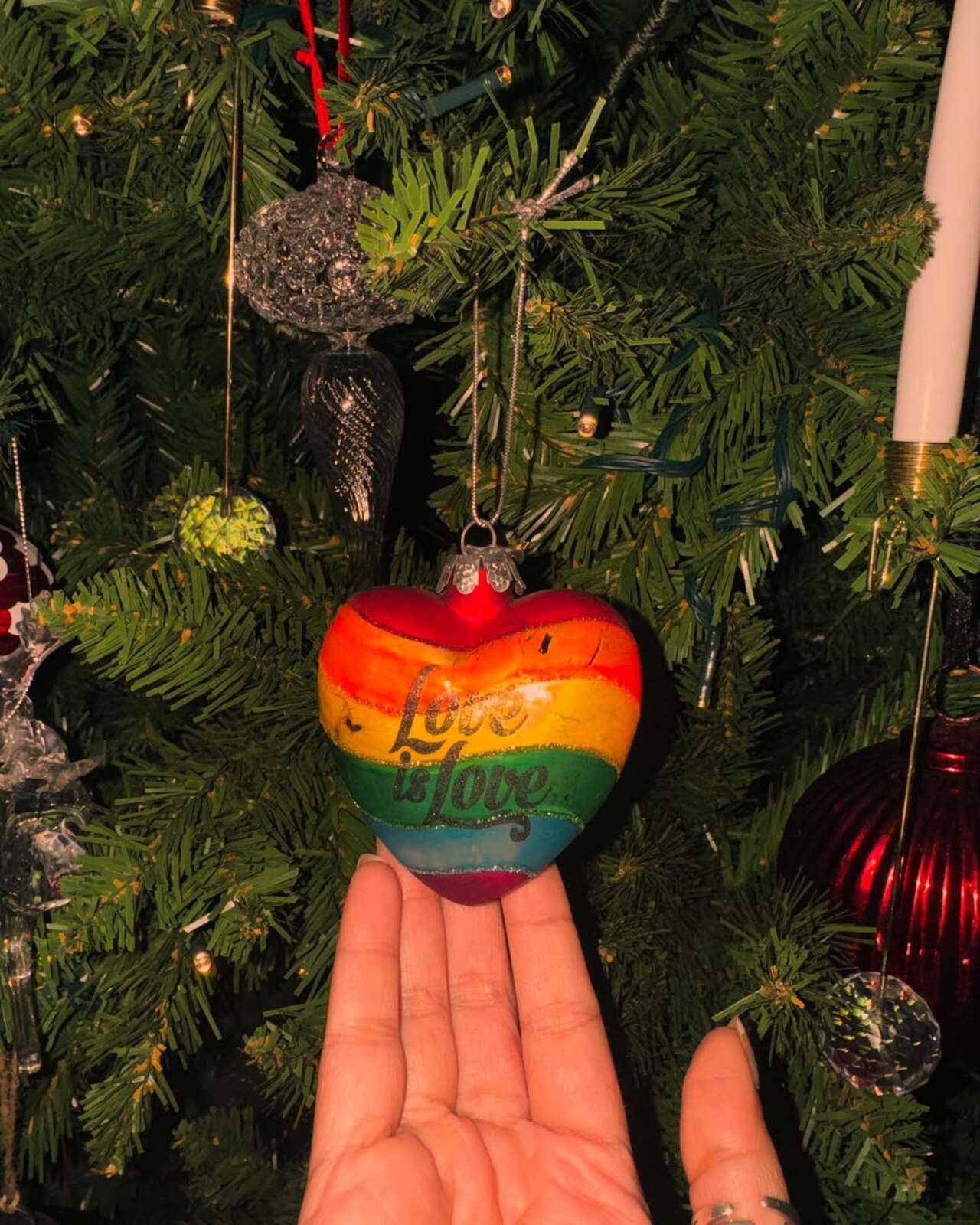 Her Christmas tree also had a message which is 'Love is Love' with colours representing LBTQIA plus community
