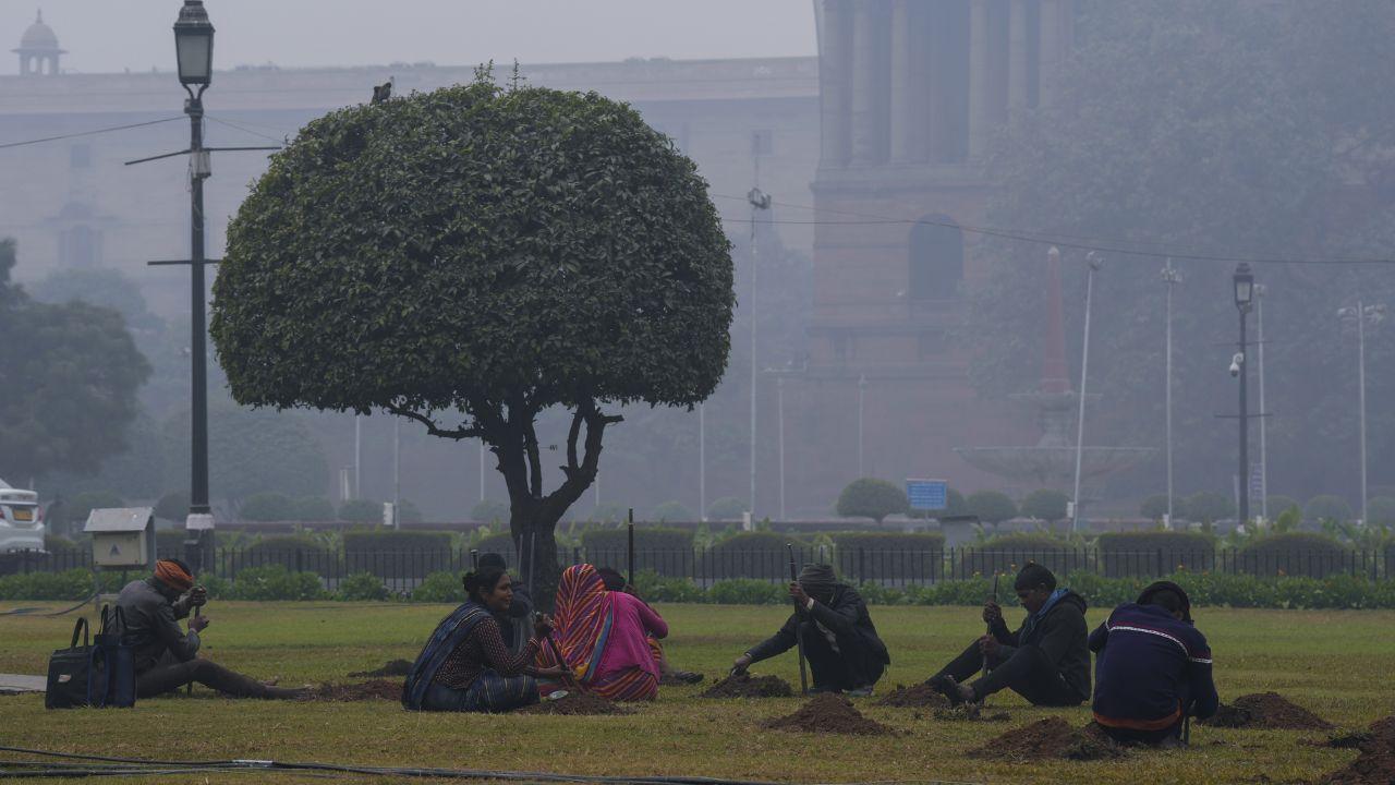 On Monday, the minimum temperature stood at 8 degrees Celsius, while the maximum reached 20 degrees Celsius. (In Pic: Labourers at the Rashtrapati Bhavan lawns on a foggy winter morning, in New Delhi on Monday)