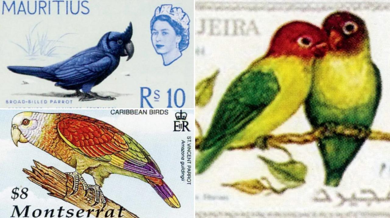 Explore some birds featured in Sushilkumar Agrawal's book, Endangered Parrots of the World—On Stamps, Coins, and Banknotes, which highlights the need for their conservation.