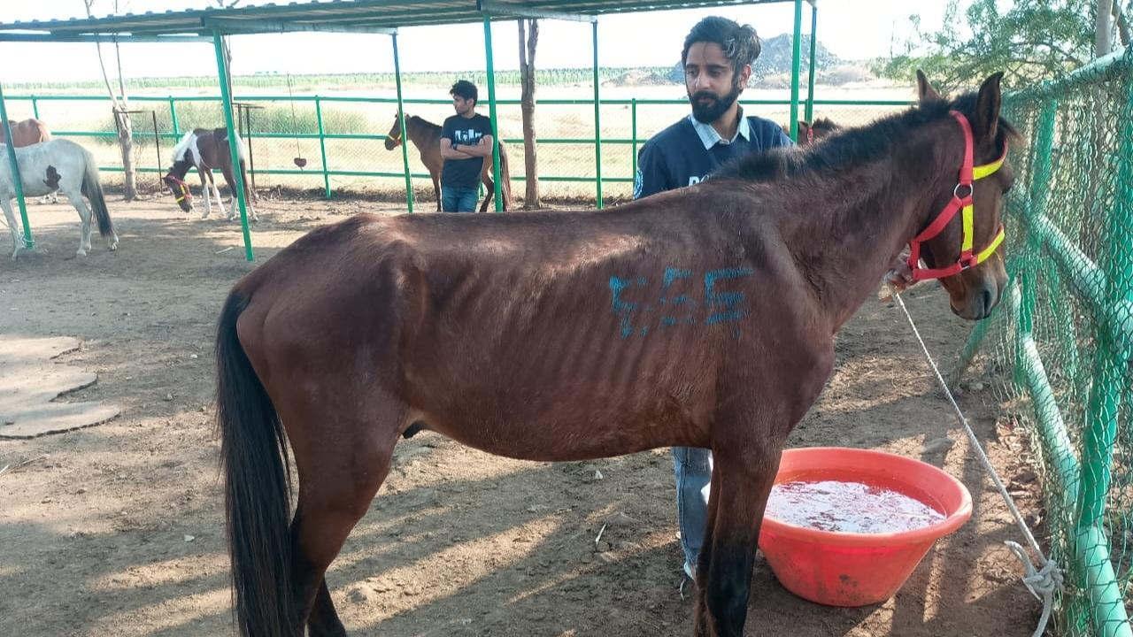 The statement said that following PETA India’s complaint, the Pant Nagar Police Station took suo moto and registered a first information report