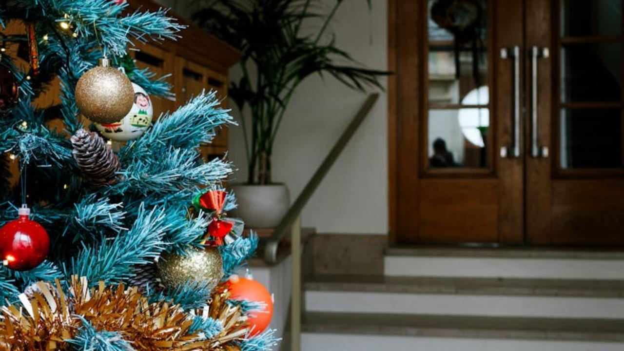 Tree on the balcony: If possible, place your tree on a secure balcony or outdoor area to limit your cat’s access.
