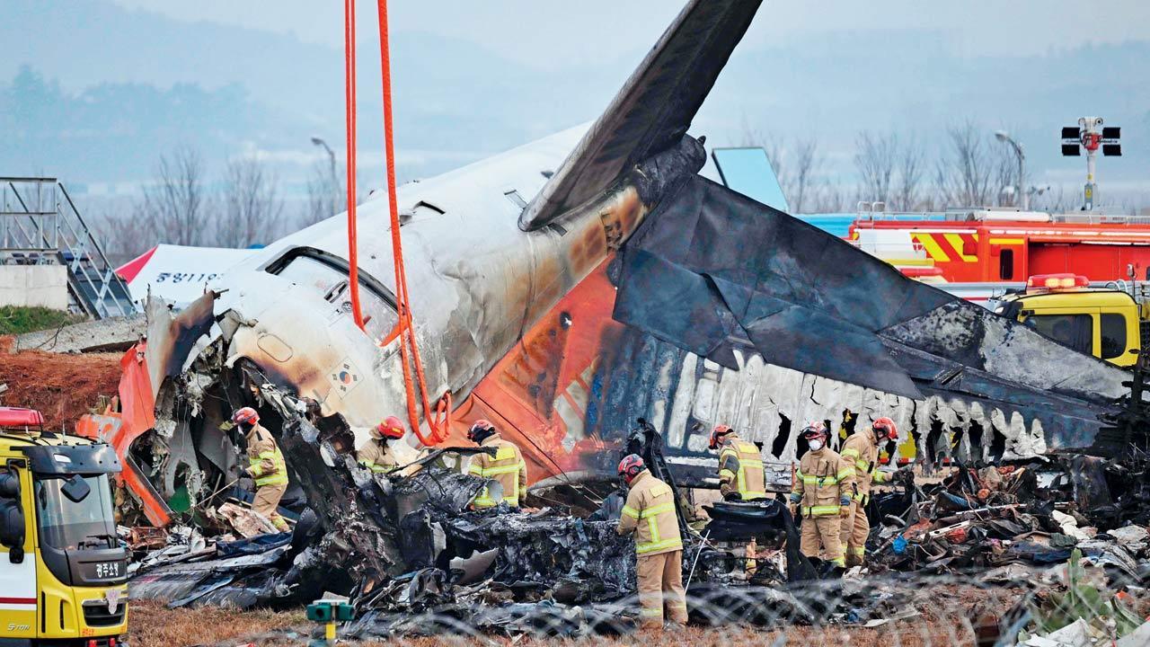 South Korea plane crash: Pilot reported bird strike before plane went down