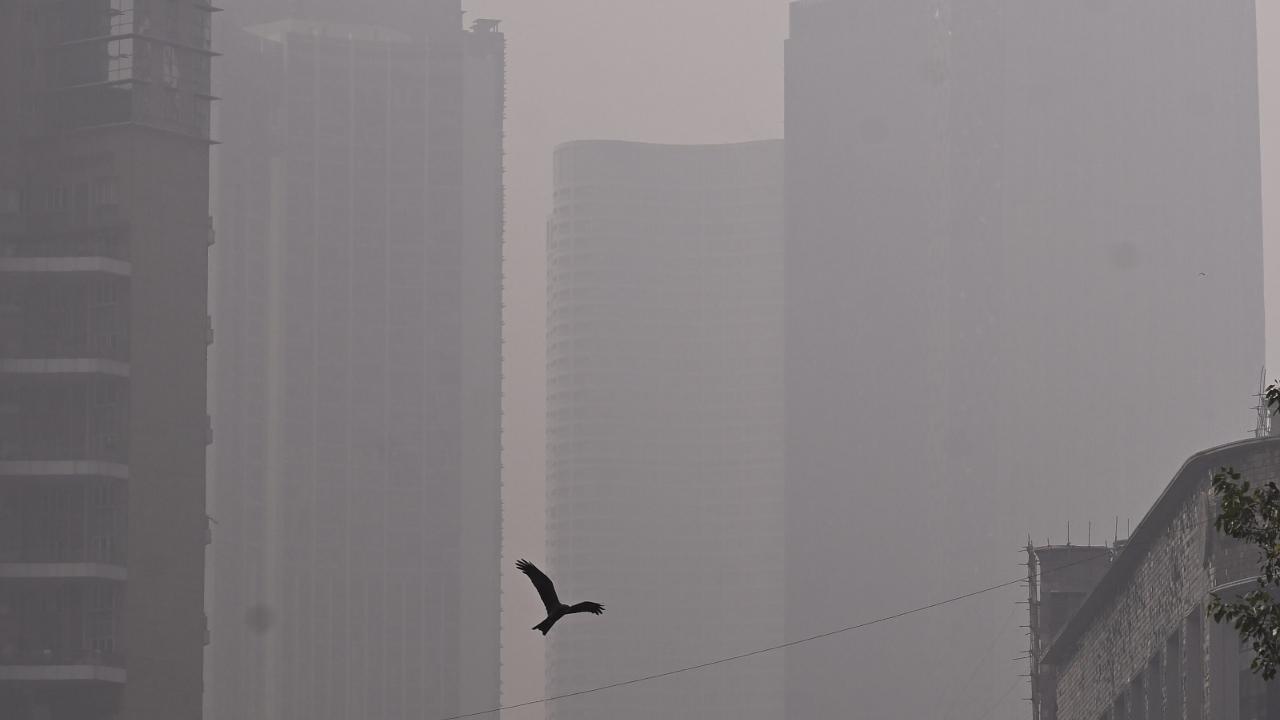 Meanwhile, on Wednesday, the city saw a significant drop, with the minimum temperature reaching 17 degrees Celsius