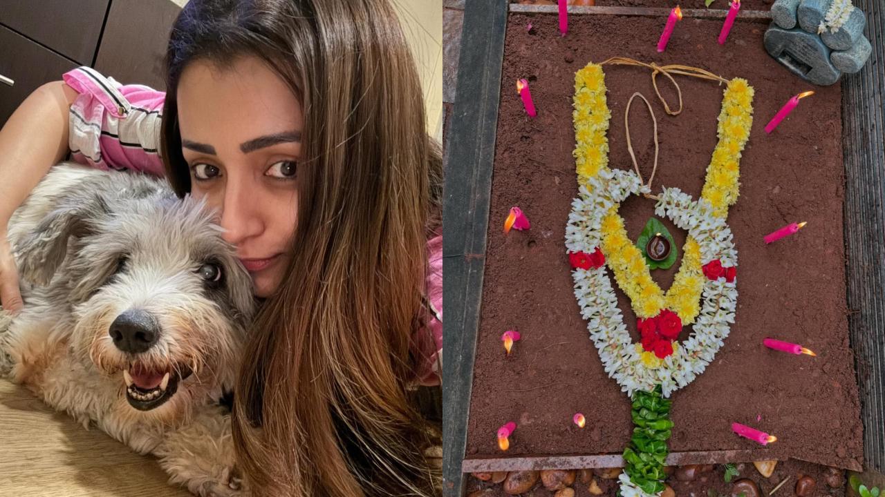 Trisha Krishnan's pet dog Zorro passes away on Christmas morning: 'My life has zero meaning henceforth'