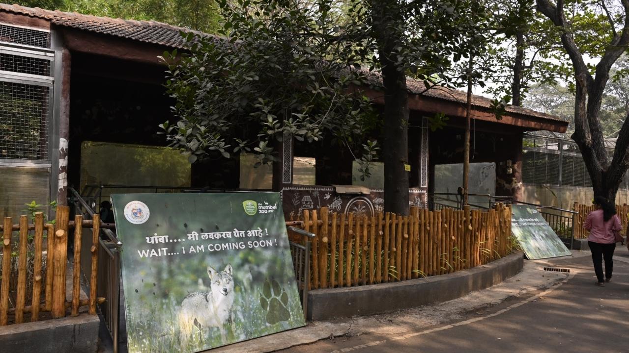 The zoo, which is over 150 years old, offers visitors the opportunity to see a wide variety of animals and birds
