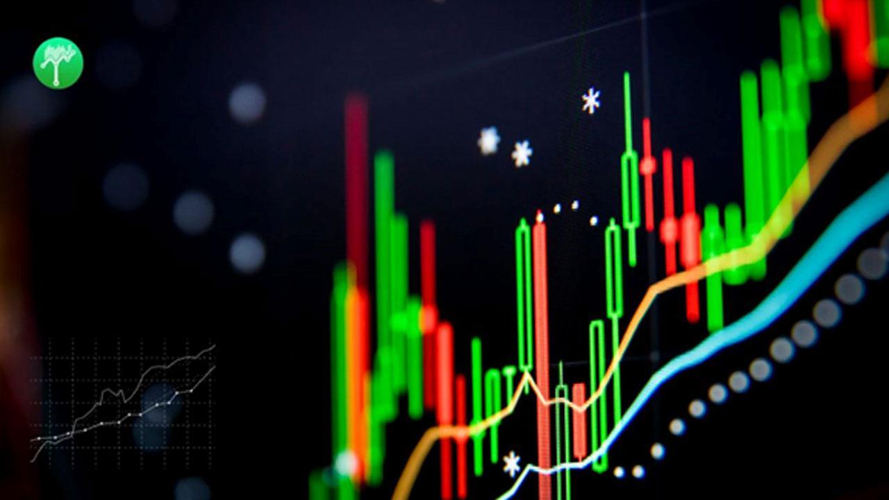 Trade Cipro Review: Honest Customer Reports Exposed By Traders-2024!