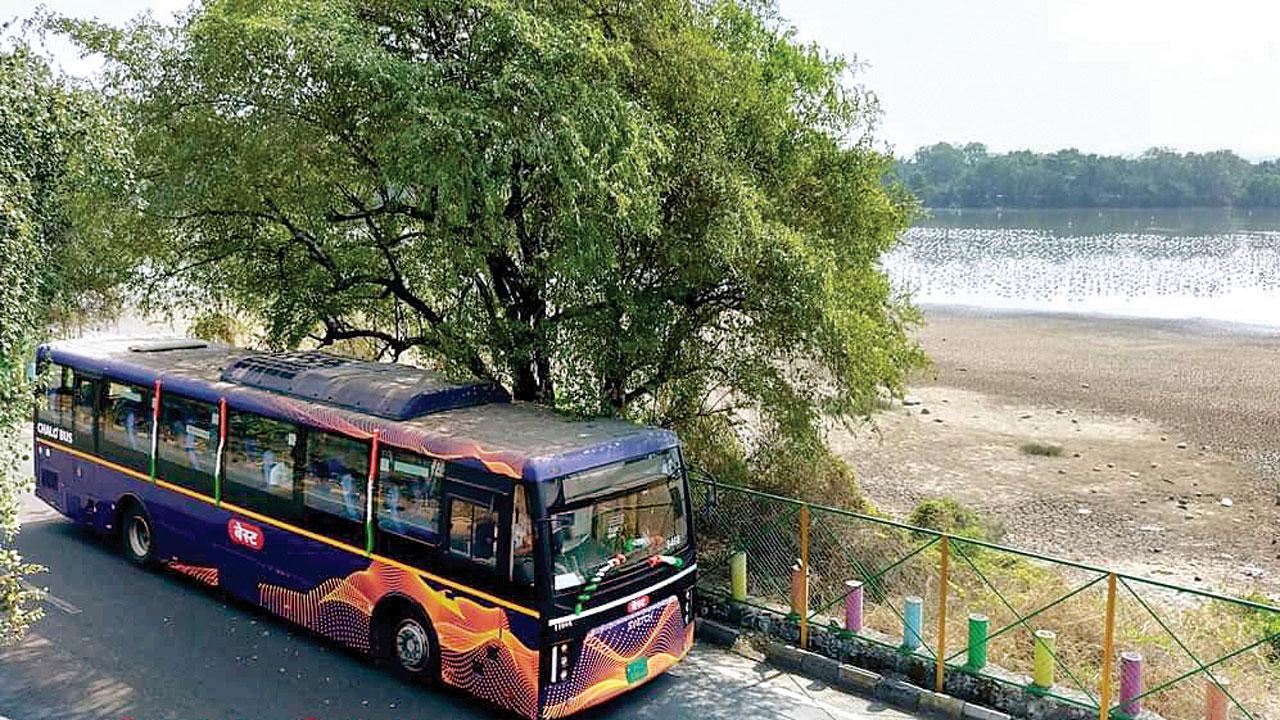 Mumbai: Soon, you can take the bus across MTHL!