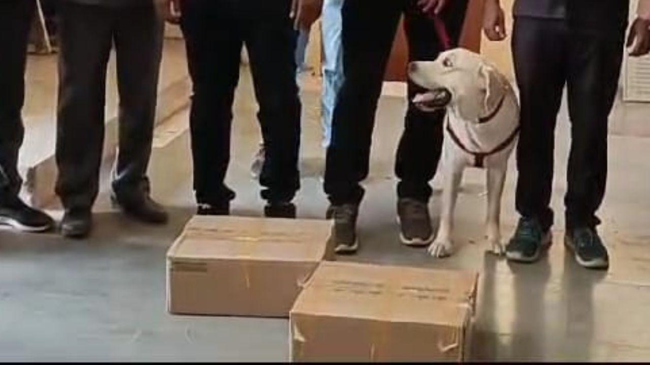 The two boxes with detonators have been seized/ Navneet Barhate