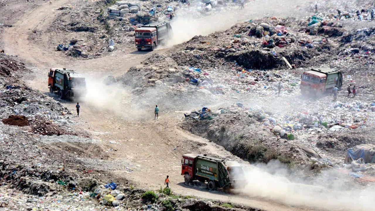 BMC collects 2,500 tonnes of waste from Mumbai