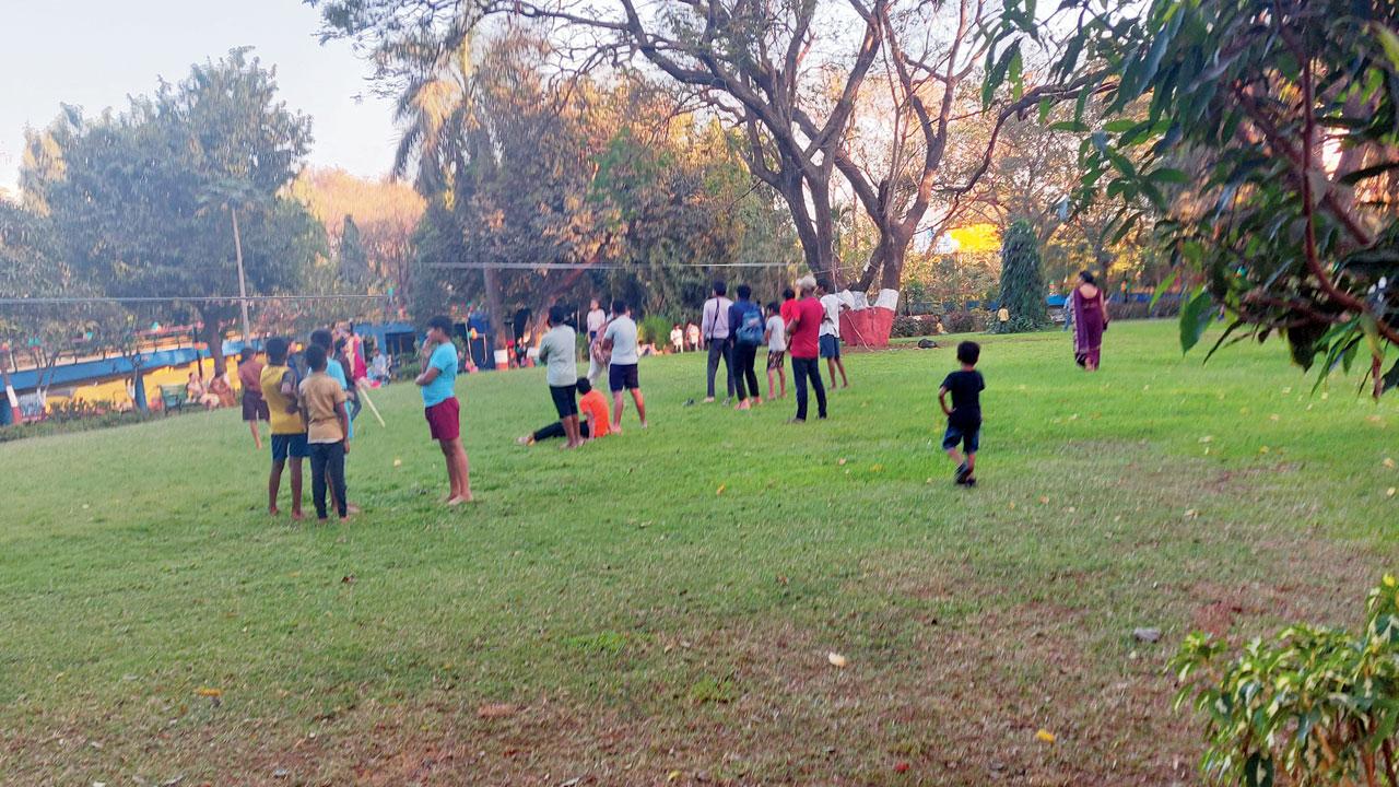 Young people enjoy themselves at the park