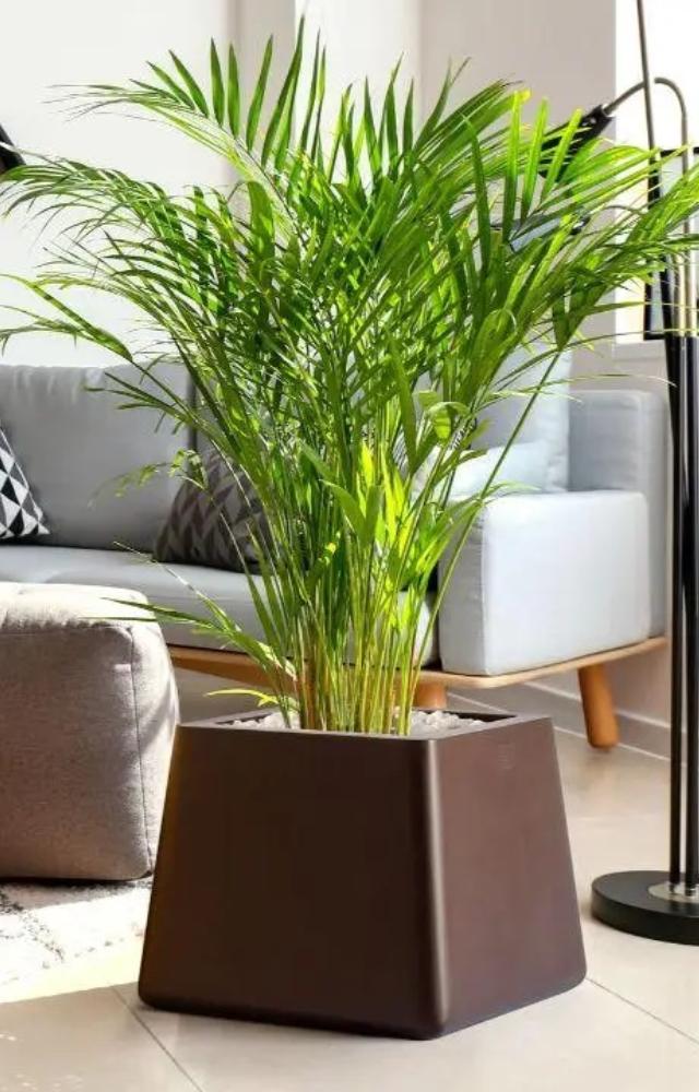 Tech-savvy consumers now seek furniture seamlessly integrated into the digital ecosystem, featuring USB charging ports and bluetooth connectivity