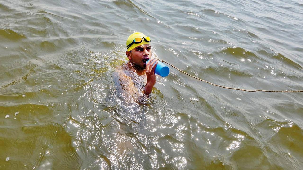 Koli during the swim