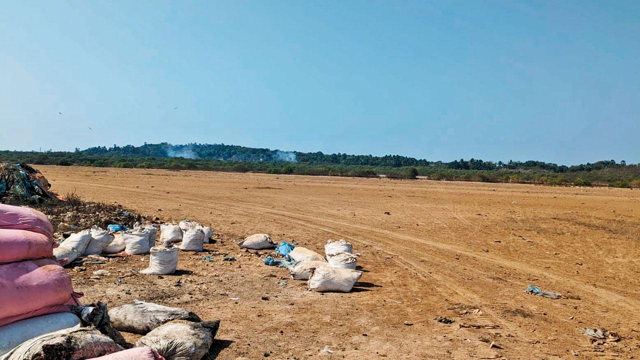 The barren location near Madh island in Malad