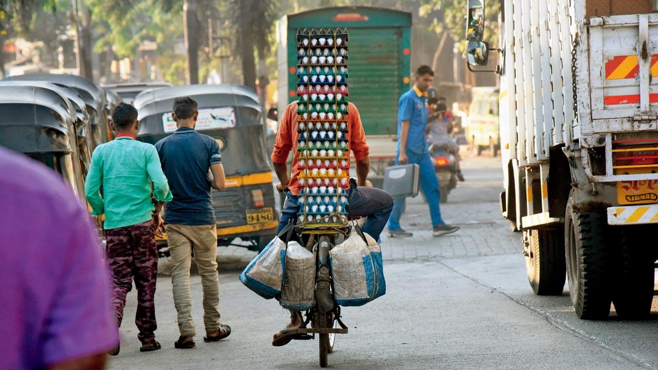 The Shree Mumbai Jain Sangh Sangathan claims that only the poultry industry will benefit from the inclusion of eggs in midday meals. File pic/Sameer Markande