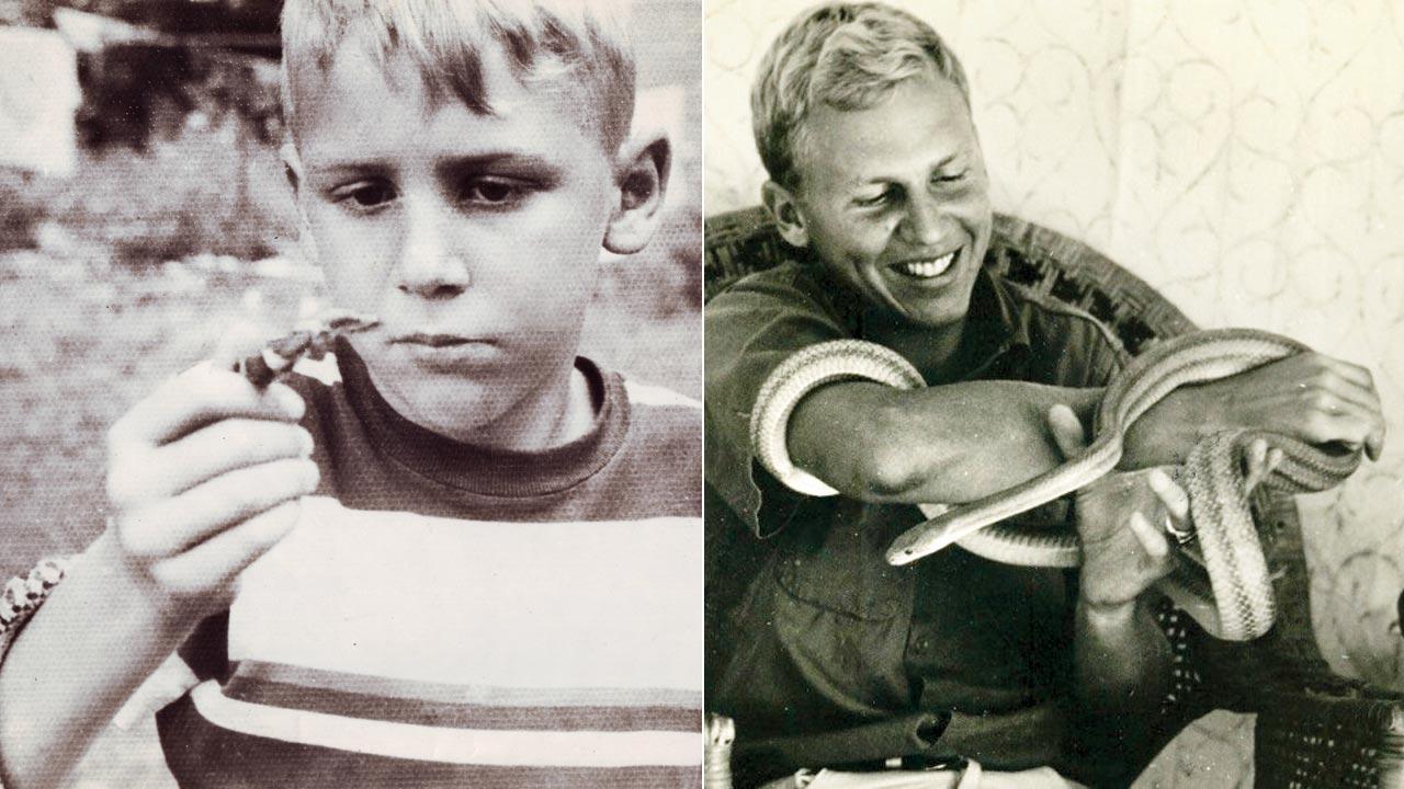 Whitaker was fascinated with snakes right from a young age, he holds his snake in Hoosick, New York, 1947; (right) Whitaker studied wildlife management in Wyoming in 1961 and worked with wildlife in the country like this yellow rat snake in Miami back in 1964, until moving back to India in 1967