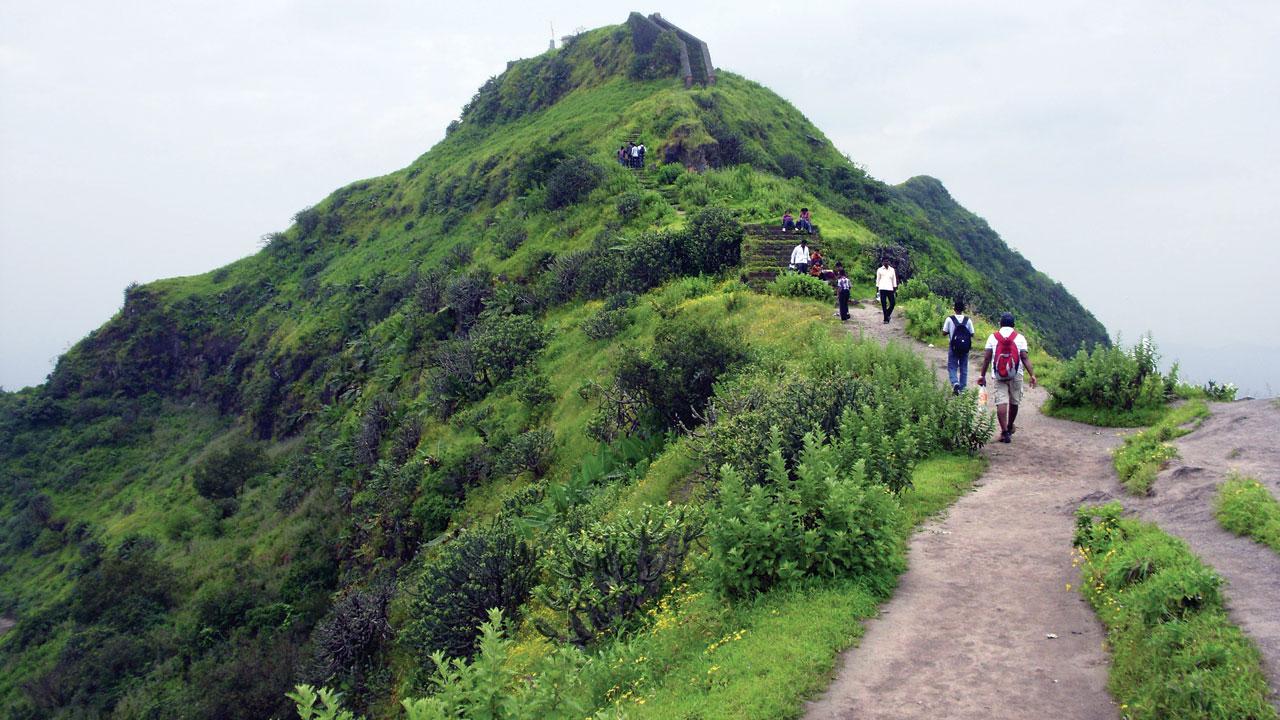 Purandar Fort. Pic Courtesy/Wikimedia Commons