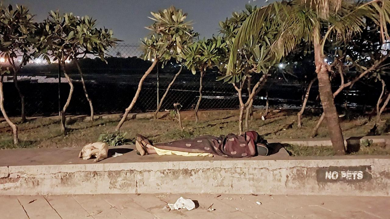 The 58-year-old fearlessly sleeps on the promenade every night