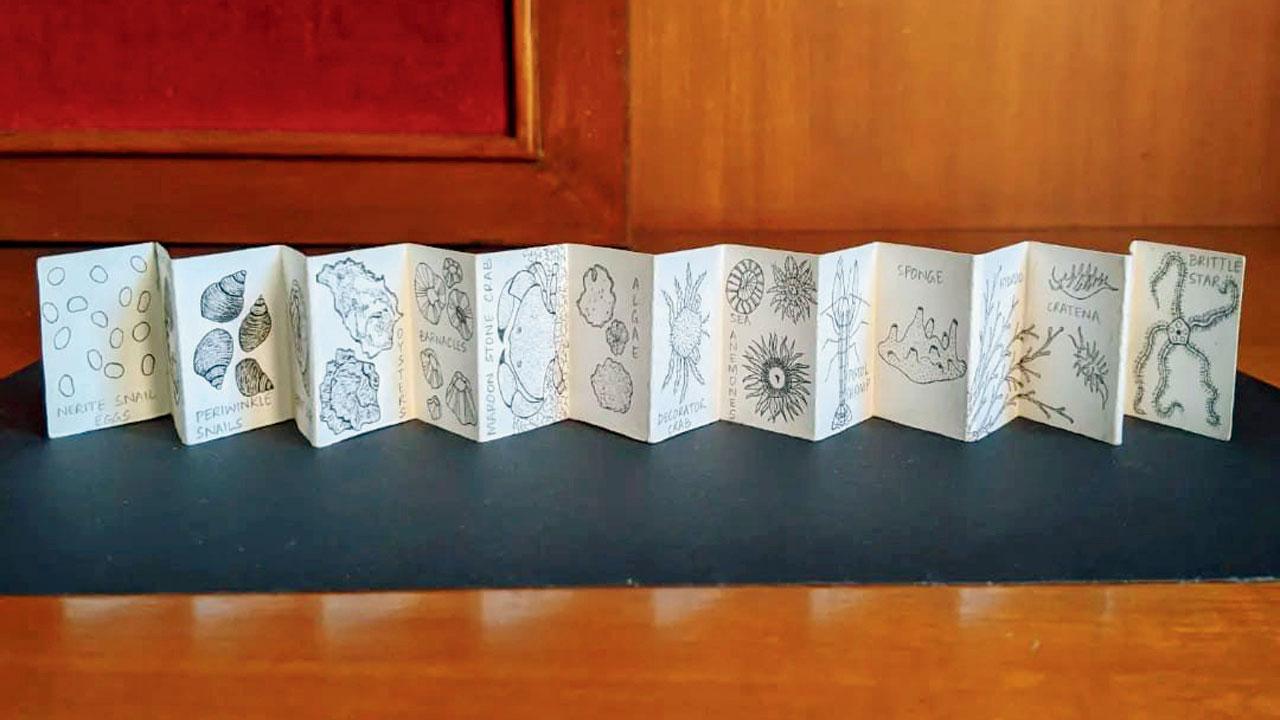 Sketches from Aparna Rao’s mini accordion book