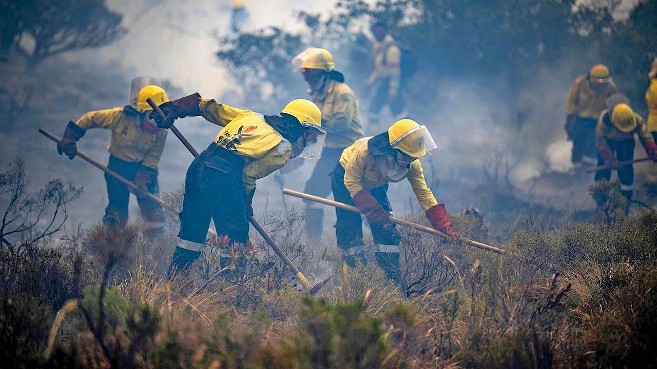 South Africa clears towns due to wildfires