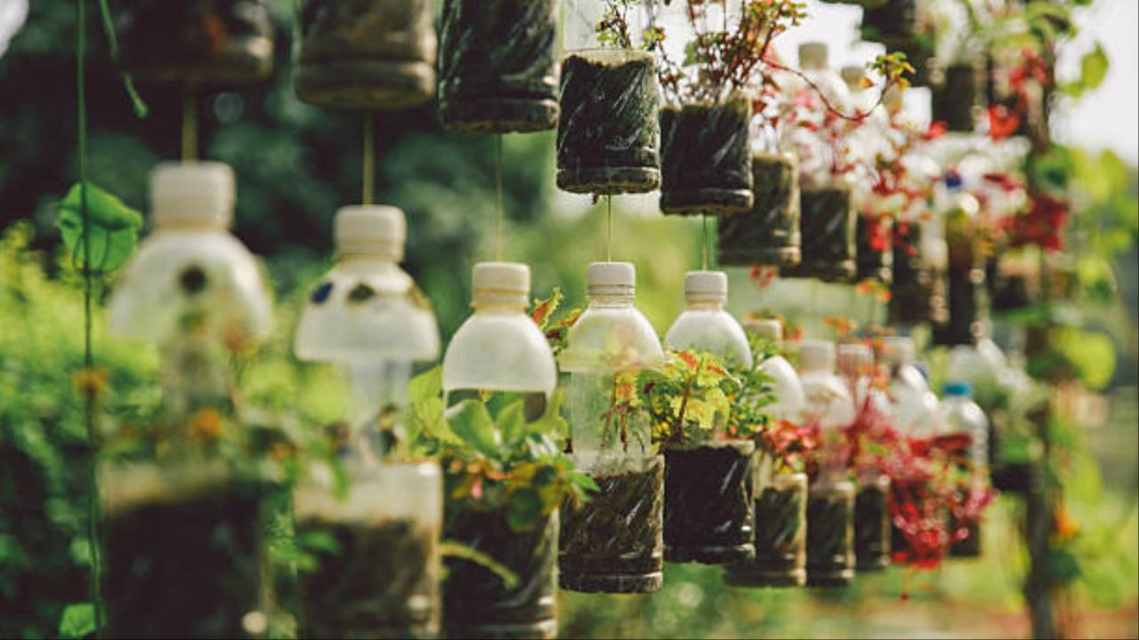 Since including nature has become an essential part, creating or involving small plants like succulents and the ones that are easy to maintain can enhance the beauty of your home. You can also grow plants potted in used bottles and paint buckets.    