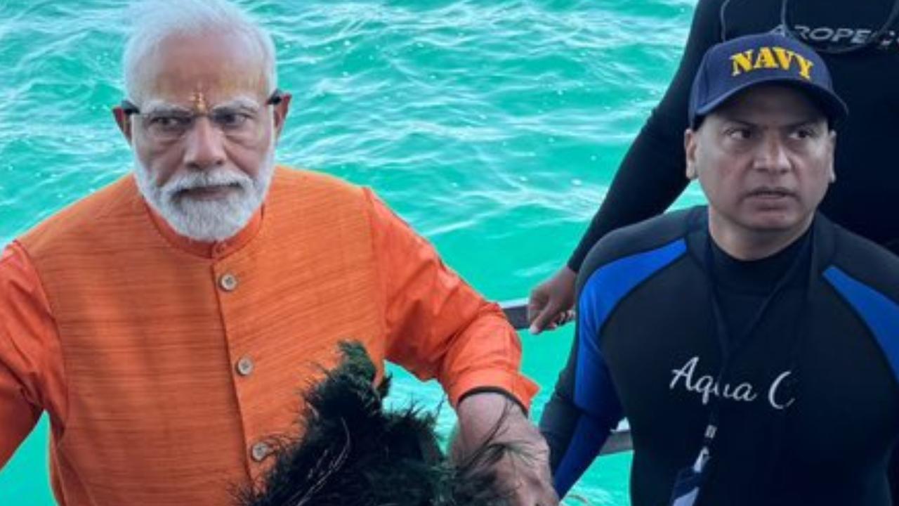 Scuba diving is conducted off the coast of Dwarka near Beyt Dwarka island, where the underwater remains of ancient Dwarka that were excavated by archaeologists can be seen