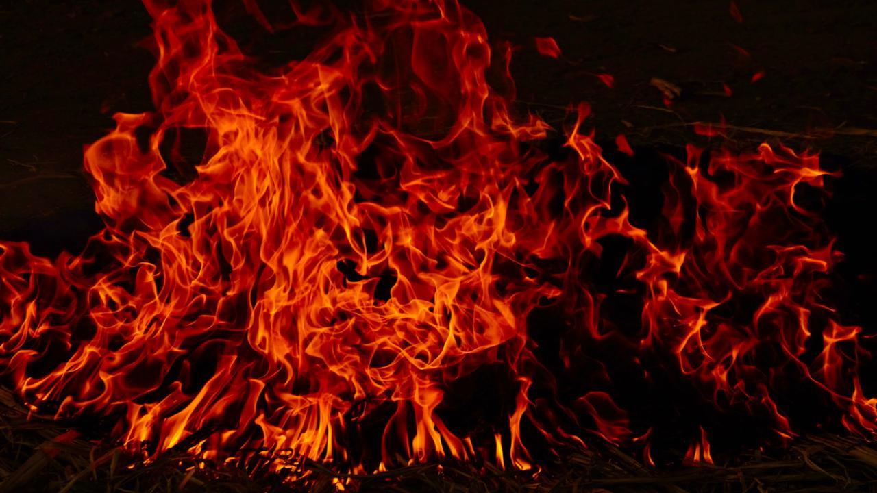 Massive fire at furniture-making unit in Maharashtra's Nagpur