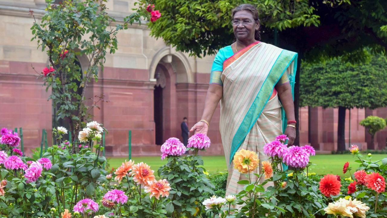 Entry and exit for all visitors will be from gate no. 35 of the President's Estate, close to where North Avenue Road meets Rashtrapati Bhavan