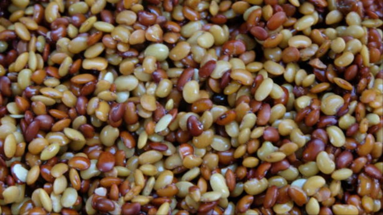 Horse Gram (Kollu or Kulthi Dal): These are rich in protein and iron. They help in weight management, reduce cholesterol, and are good for digestive health. Horse gram was traditionally used for the treatment of urinary diseases like stones, to regulate menses and also to heal ulcers. These are mainly eaten in winter. 