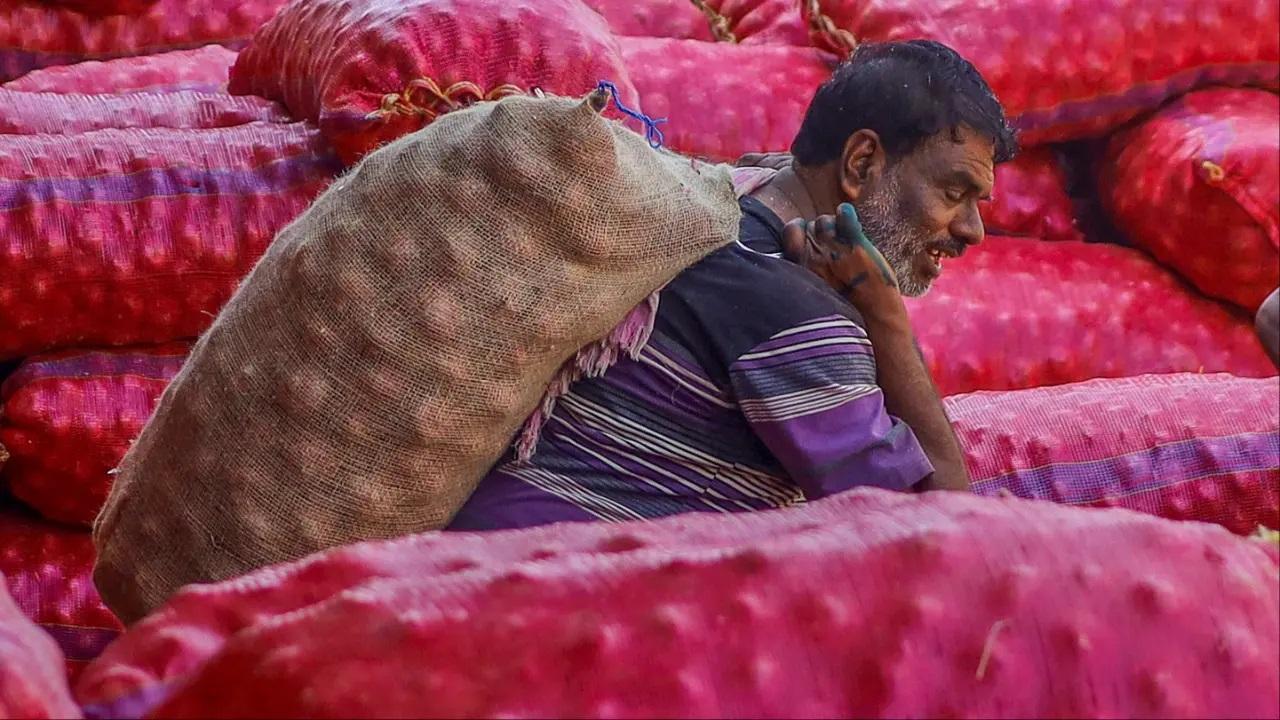 Interim Budget 2024 simplified Economists dissect and highlight key