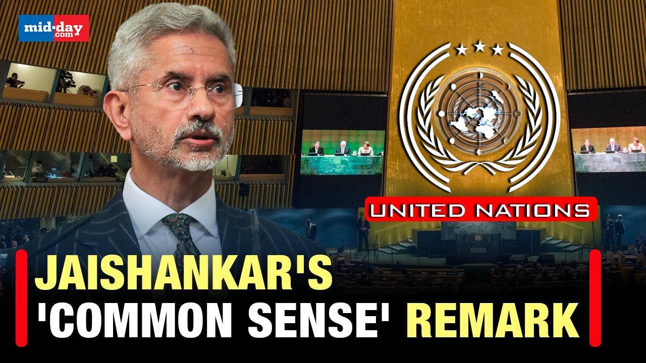 Raisina Dialogue 2024: EAM Jaishankar's straight talk at UN over UNSC Reforms