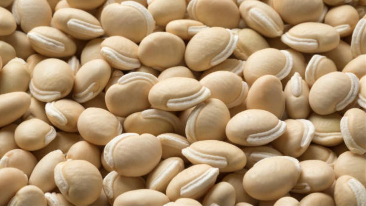 Lablab beans (Avarekalu): They are a good source of vitamins and minerals. They help in regulating blood pressure, improve immunity, and support bone health. These are mainly eaten in winter.