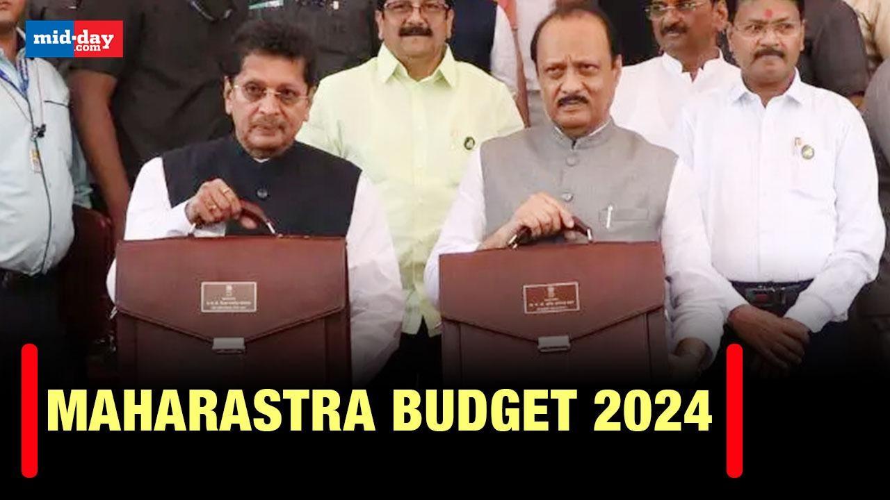 Maharastra Budget 2024: Key highlights