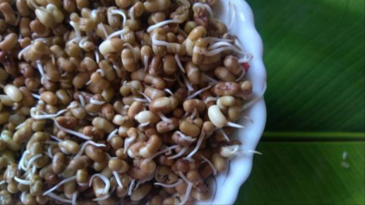 Moth beans (Matki): They are high in protein, vitamins, and minerals. They promote muscle growth, help in regulating blood sugar levels, and also promote skin health. They can be eaten in all seasons. 