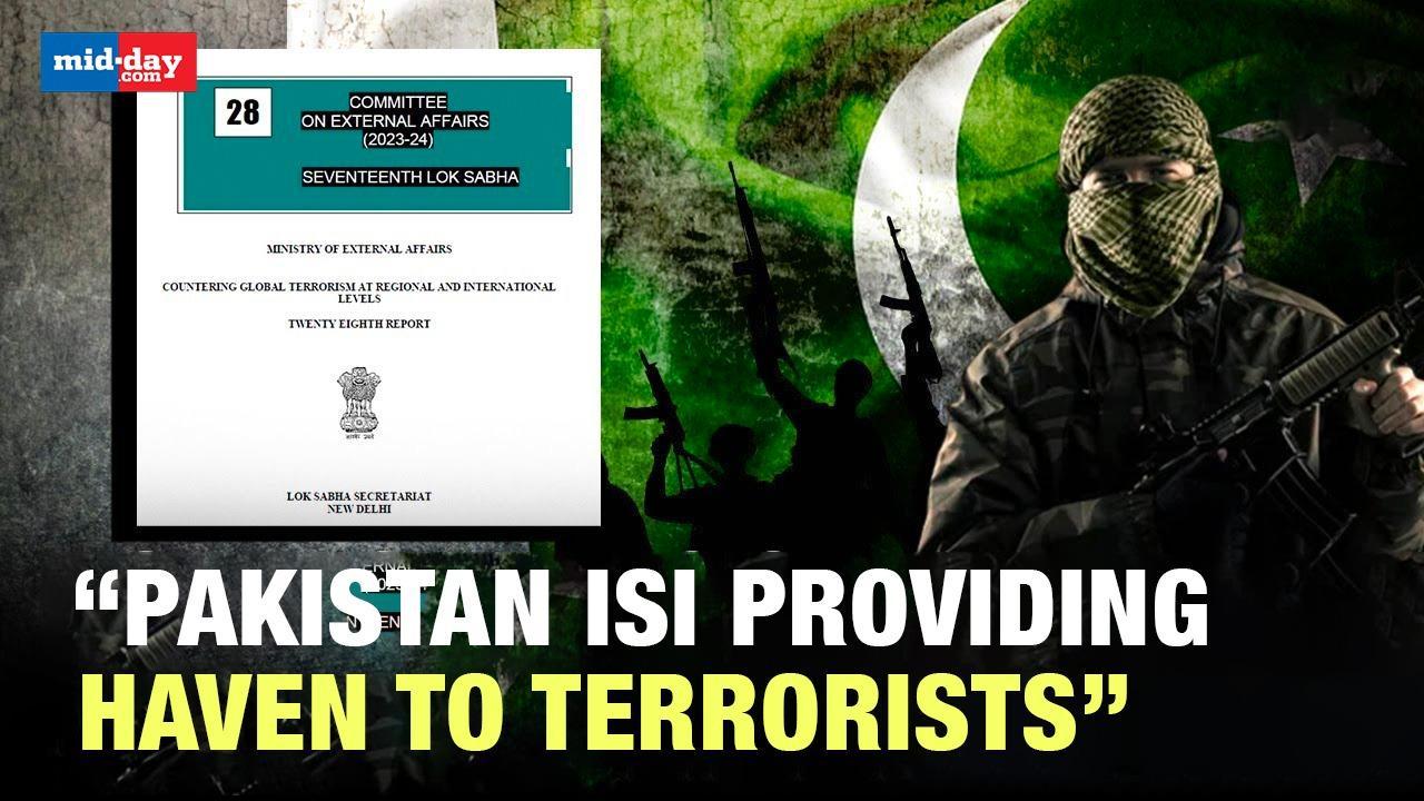 Pakistan’s agency ISI is providing a haven to terrorists, says External Affairs