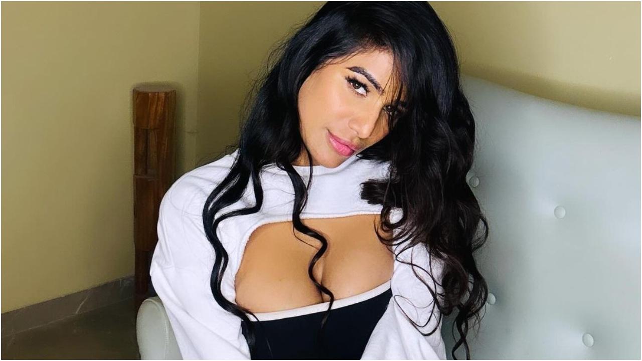 Poonam Pandey had hinted at a 'big surprise coming very soon' in her last interview, WATCH