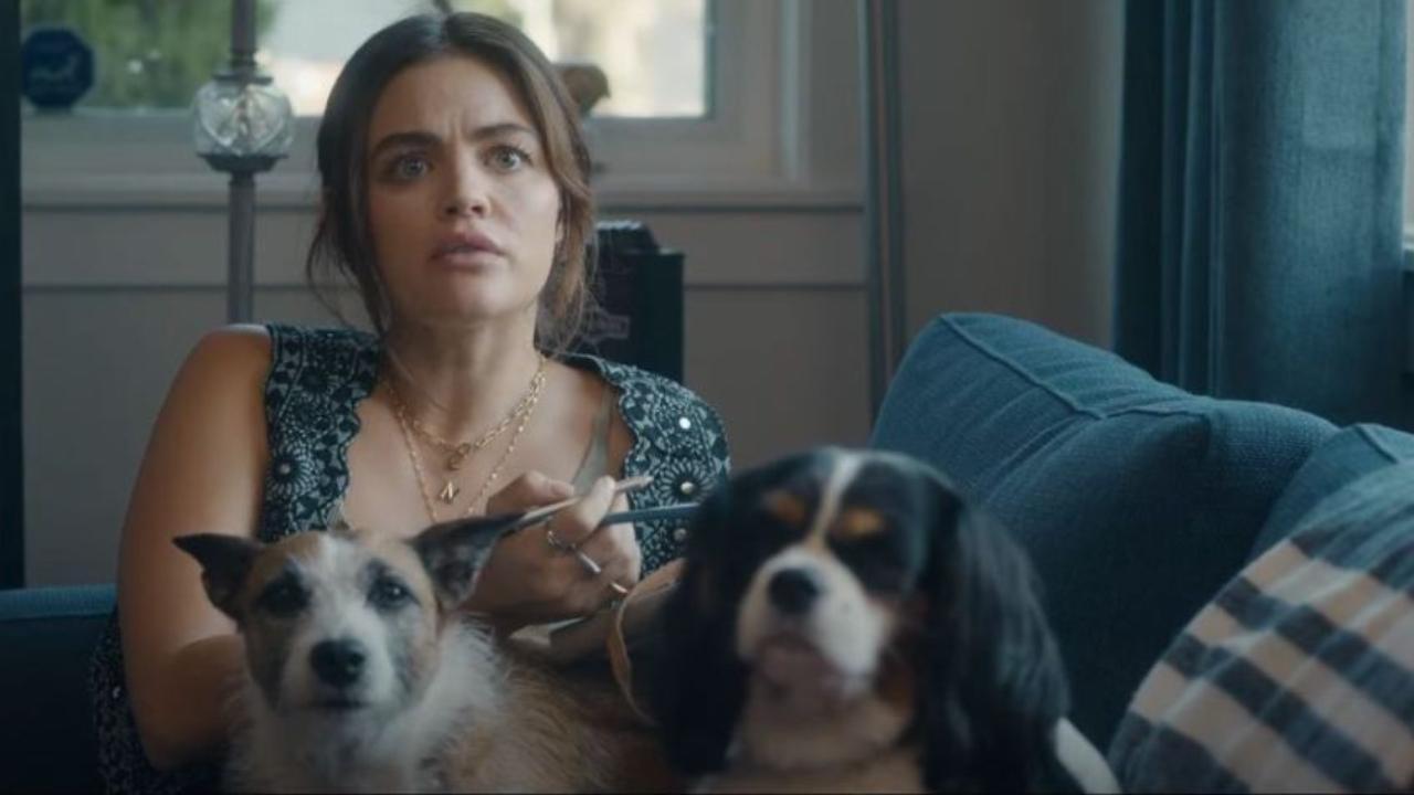 'Puppy Love' movie review: Meet ‘Cute’ but fails to sustain
